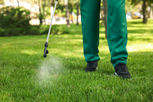 Best Insect Control  in Raymond, WI