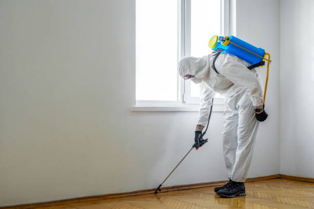 Best Pest Prevention Services  in Raymond, WI