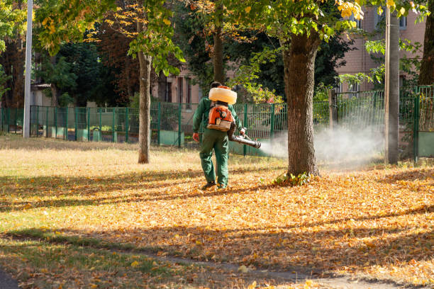 Best Commercial Pest Control Services  in Raymond, WI