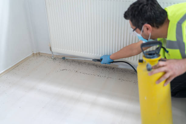 Best Flea Control Services  in Raymond, WI