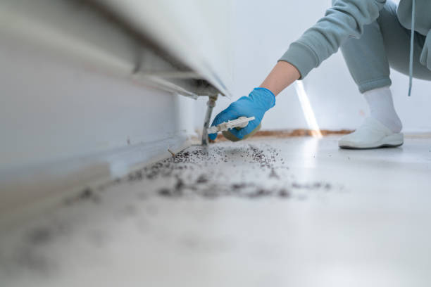 Best Pest Control Near Me  in Raymond, WI