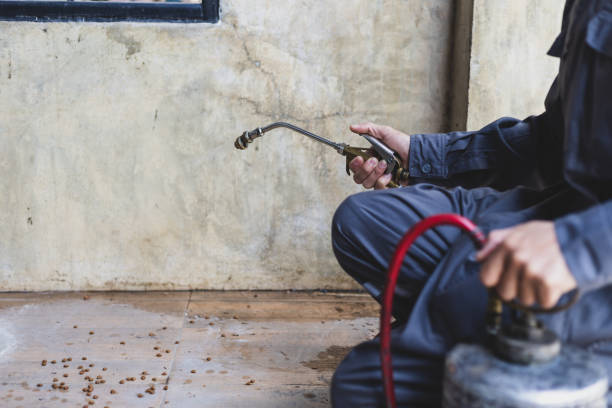 Pest Control for Restaurants in Raymond, WI
